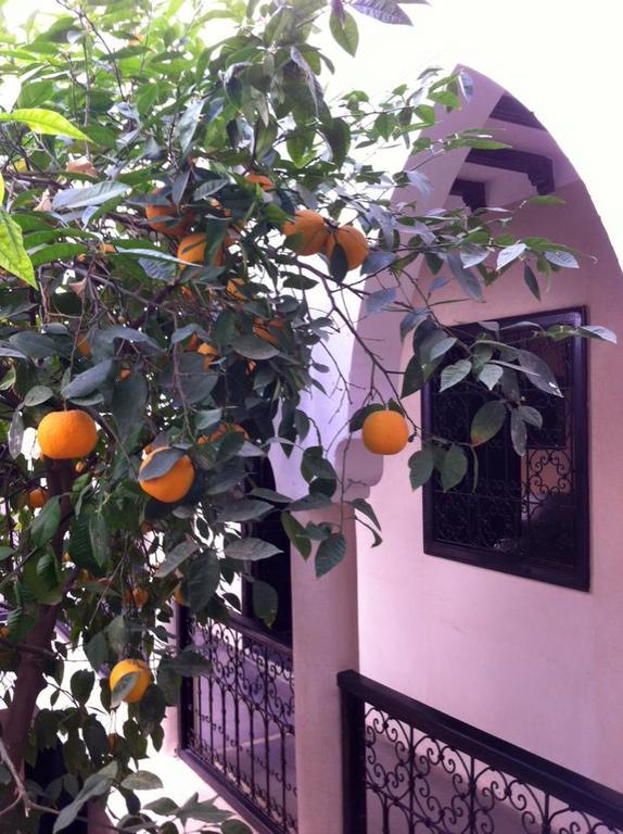 Riad Le Bel Oranger Marrakesh Exterior foto